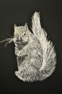 Silver Squirrel by Carter Pickering